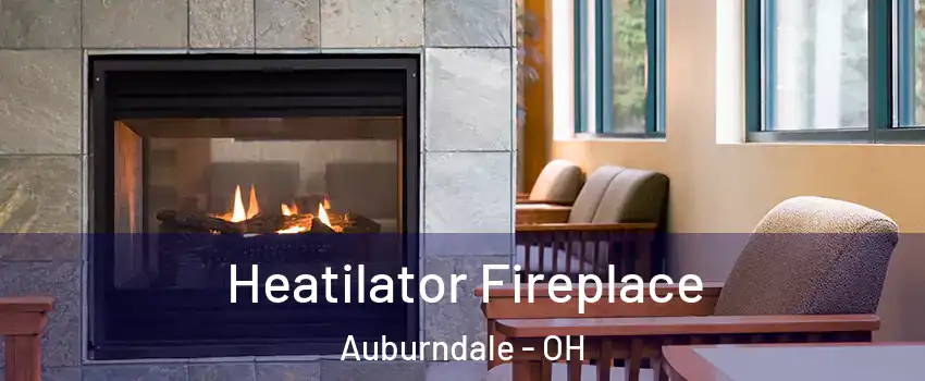 Heatilator Fireplace Auburndale - OH