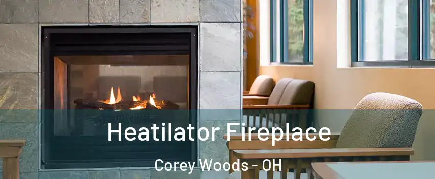 Heatilator Fireplace Corey Woods - OH