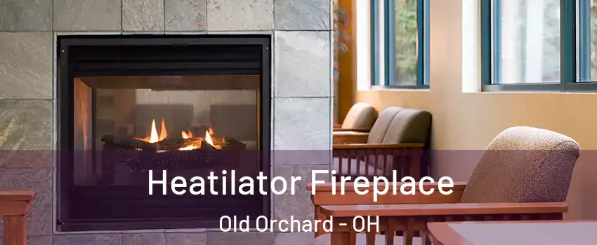 Heatilator Fireplace Old Orchard - OH