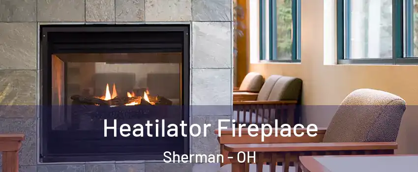 Heatilator Fireplace Sherman - OH