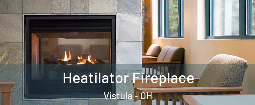 Heatilator Fireplace Vistula - OH