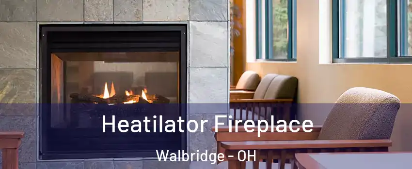 Heatilator Fireplace Walbridge - OH