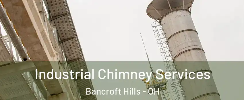 Industrial Chimney Services Bancroft Hills - OH