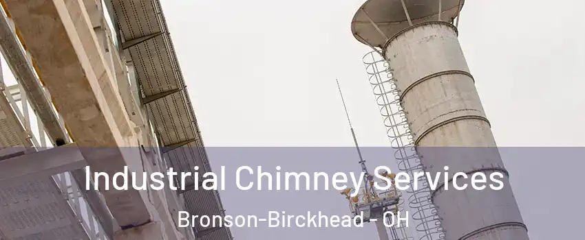 Industrial Chimney Services Bronson-Birckhead - OH