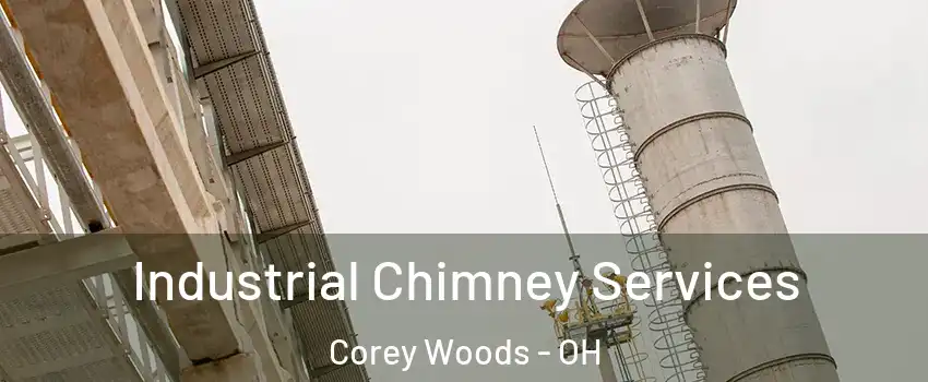 Industrial Chimney Services Corey Woods - OH