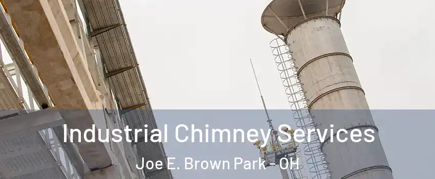 Industrial Chimney Services Joe E. Brown Park - OH