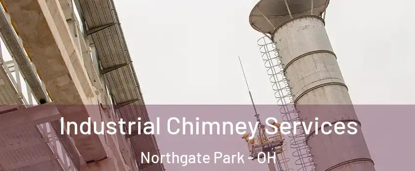Industrial Chimney Services Northgate Park - OH