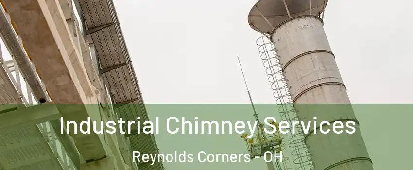 Industrial Chimney Services Reynolds Corners - OH