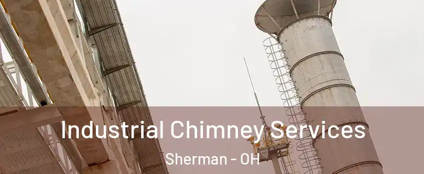 Industrial Chimney Services Sherman - OH