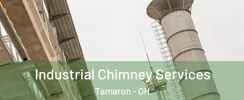 Industrial Chimney Services Tamaron - OH