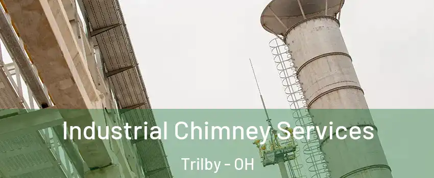 Industrial Chimney Services Trilby - OH