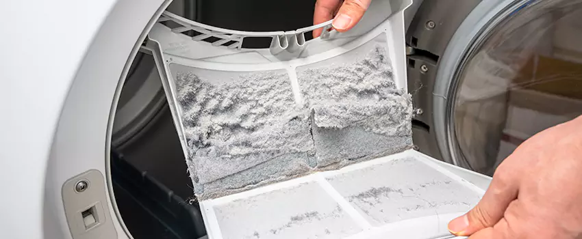 Best Dryer Lint Removal Company in OWENI, Ohio