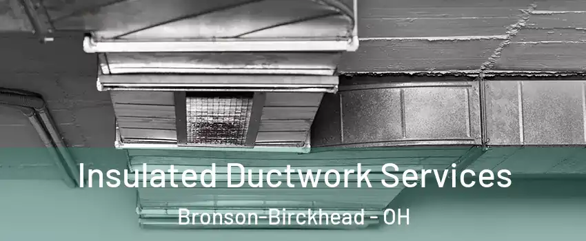 Insulated Ductwork Services Bronson-Birckhead - OH