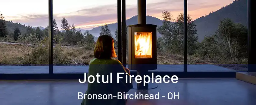 Jotul Fireplace Bronson-Birckhead - OH