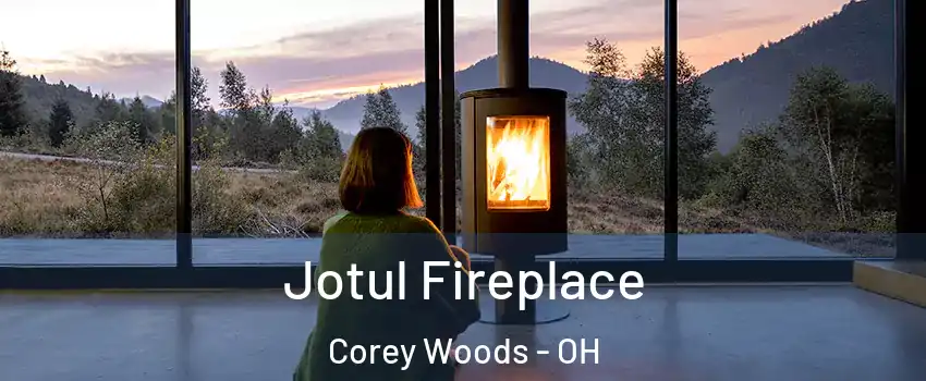 Jotul Fireplace Corey Woods - OH