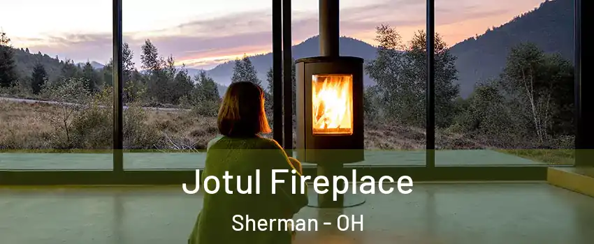 Jotul Fireplace Sherman - OH