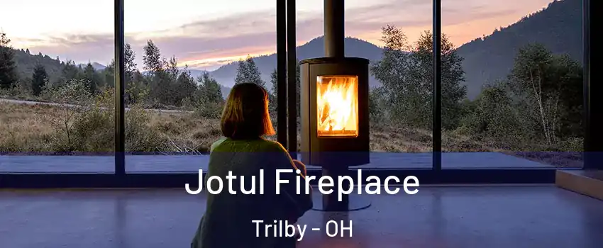 Jotul Fireplace Trilby - OH
