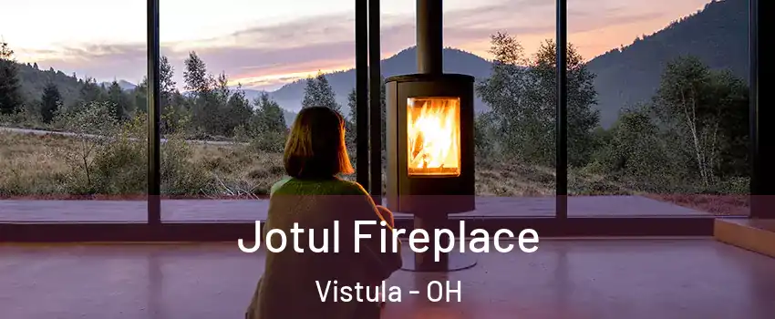 Jotul Fireplace Vistula - OH