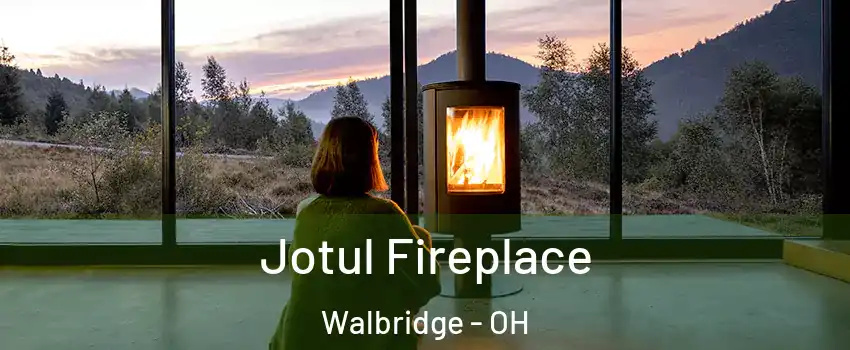 Jotul Fireplace Walbridge - OH