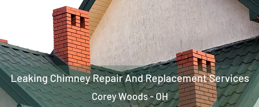 Leaking Chimney Repair And Replacement Services Corey Woods - OH