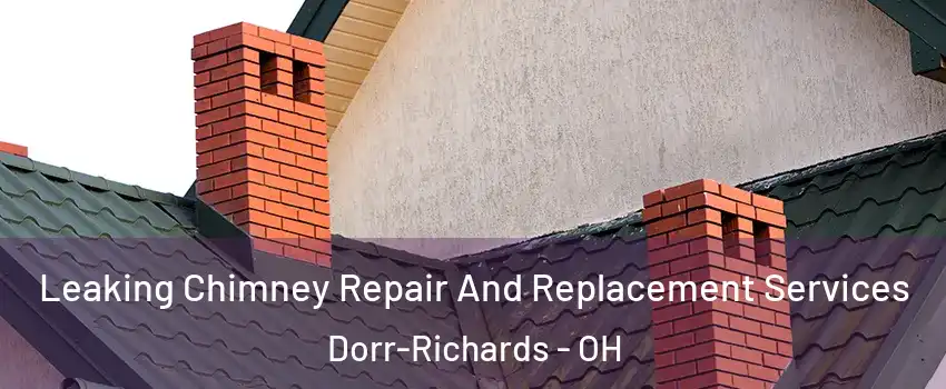 Leaking Chimney Repair And Replacement Services Dorr-Richards - OH