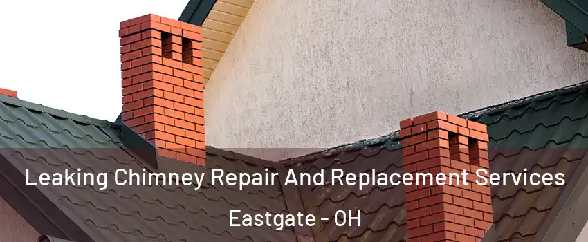 Leaking Chimney Repair And Replacement Services Eastgate - OH