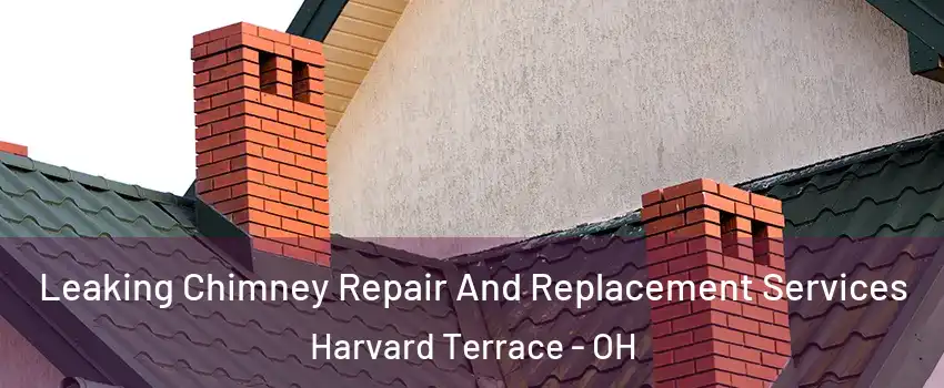 Leaking Chimney Repair And Replacement Services Harvard Terrace - OH