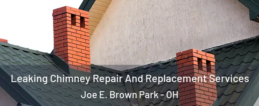 Leaking Chimney Repair And Replacement Services Joe E. Brown Park - OH