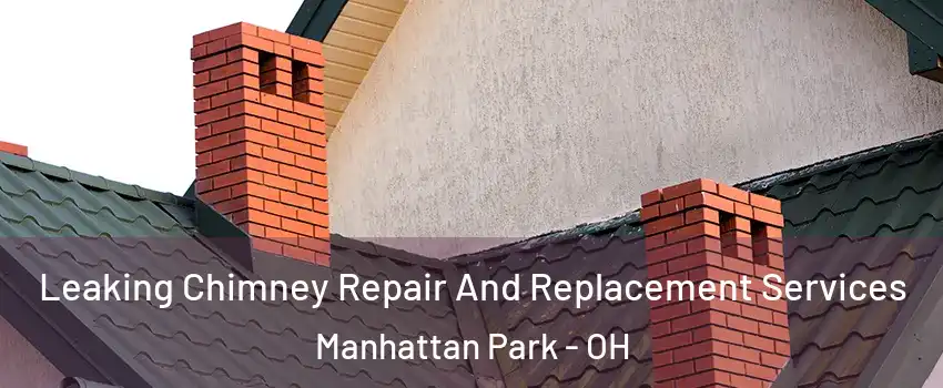 Leaking Chimney Repair And Replacement Services Manhattan Park - OH