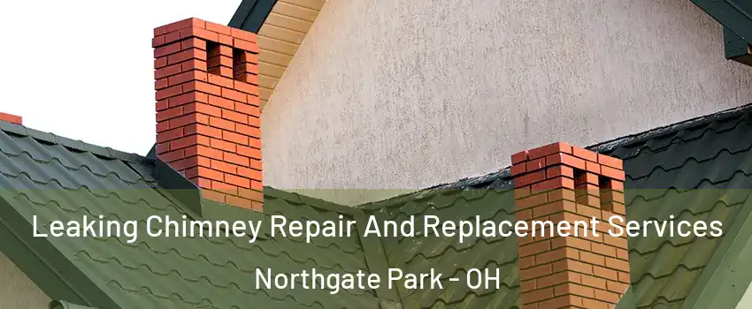 Leaking Chimney Repair And Replacement Services Northgate Park - OH