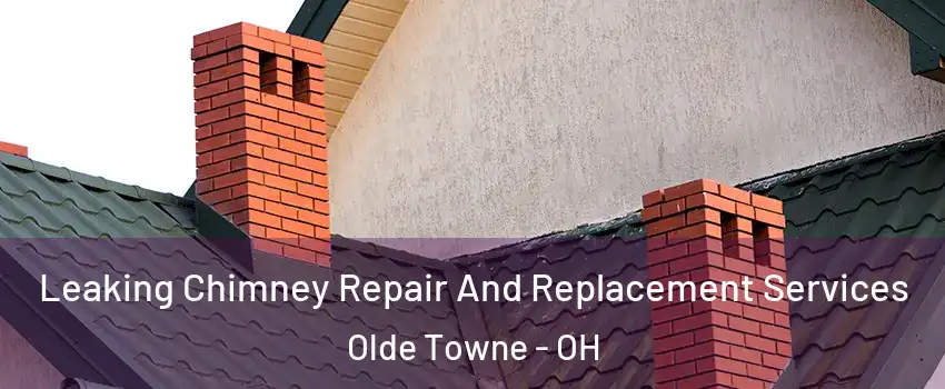 Leaking Chimney Repair And Replacement Services Olde Towne - OH