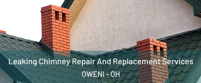 Leaking Chimney Repair And Replacement Services OWENI - OH