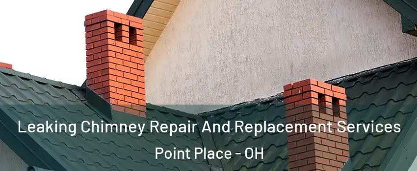 Leaking Chimney Repair And Replacement Services Point Place - OH
