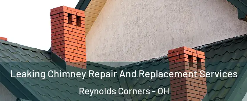 Leaking Chimney Repair And Replacement Services Reynolds Corners - OH