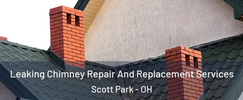 Leaking Chimney Repair And Replacement Services Scott Park - OH