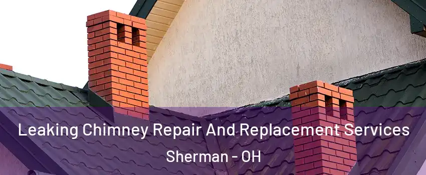 Leaking Chimney Repair And Replacement Services Sherman - OH
