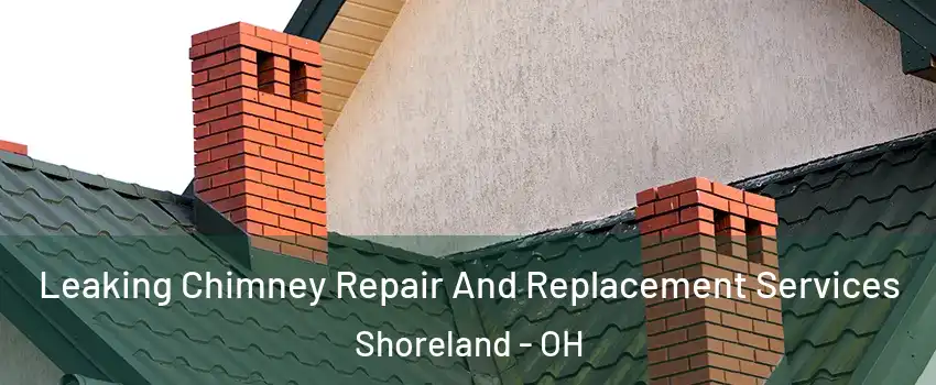 Leaking Chimney Repair And Replacement Services Shoreland - OH