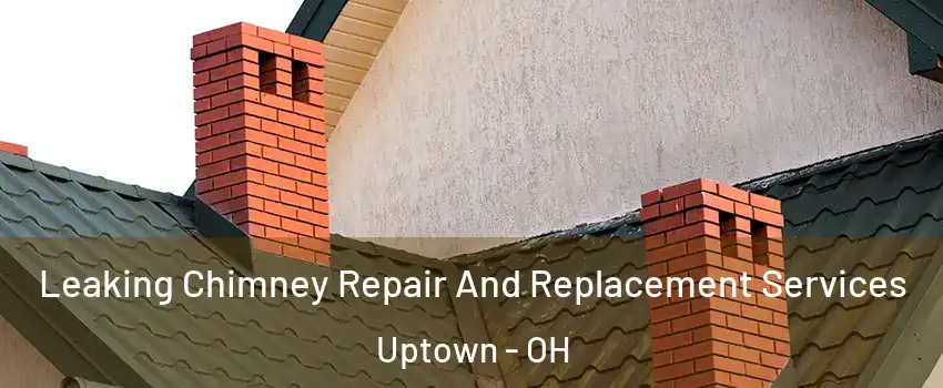 Leaking Chimney Repair And Replacement Services Uptown - OH