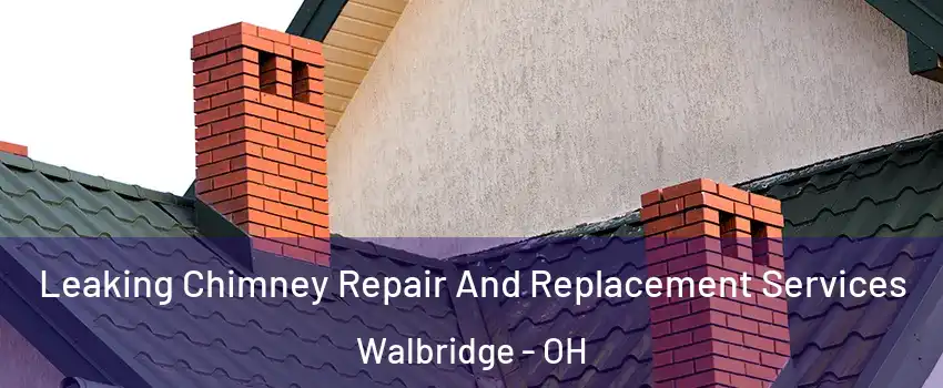 Leaking Chimney Repair And Replacement Services Walbridge - OH
