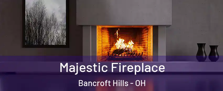 Majestic Fireplace Bancroft Hills - OH