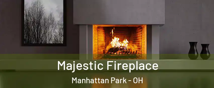 Majestic Fireplace Manhattan Park - OH