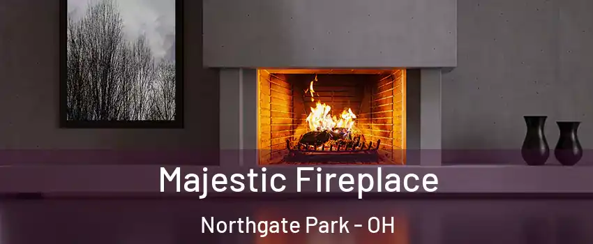 Majestic Fireplace Northgate Park - OH