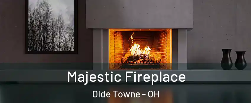 Majestic Fireplace Olde Towne - OH