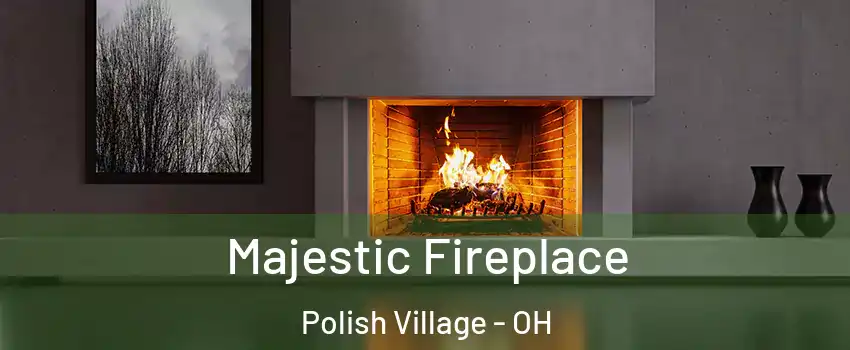 Majestic Fireplace Polish Village - OH