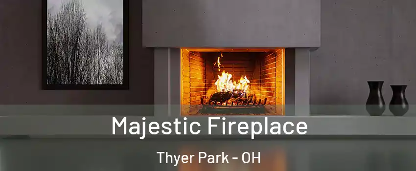 Majestic Fireplace Thyer Park - OH
