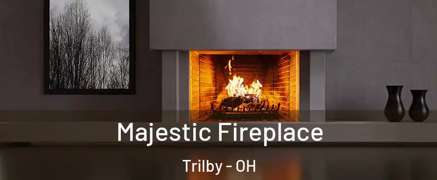 Majestic Fireplace Trilby - OH