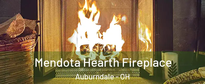 Mendota Hearth Fireplace Auburndale - OH