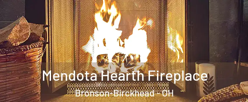 Mendota Hearth Fireplace Bronson-Birckhead - OH