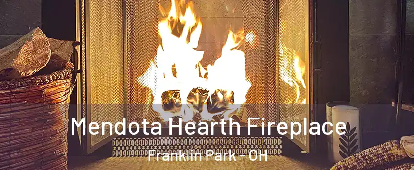 Mendota Hearth Fireplace Franklin Park - OH