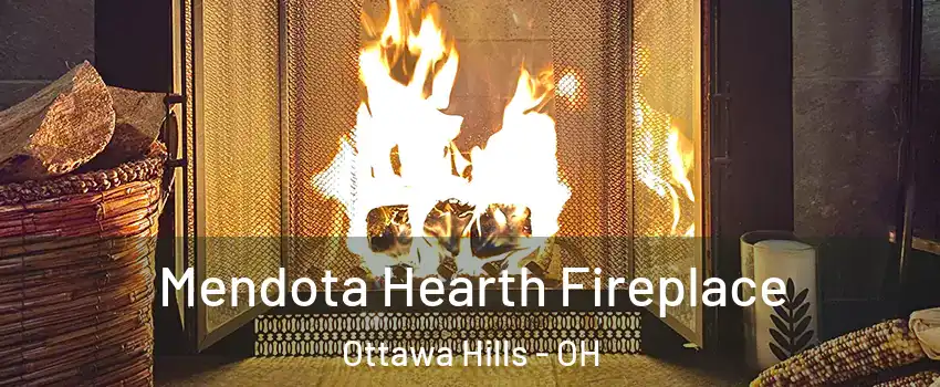 Mendota Hearth Fireplace Ottawa Hills - OH